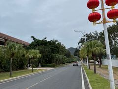 -亚龙湾国际玫瑰谷