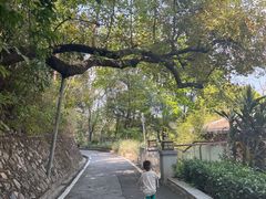 -广州市石门国家森林公园