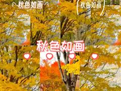 -东莞植物园