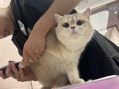 -FAELING PETS美天灵宠物(富力广场店)