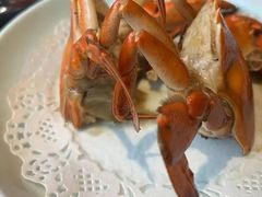 -鑫悦楼煎蟹·16年海鲜大排档