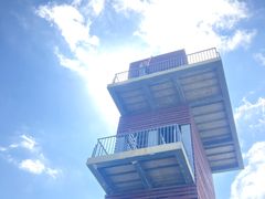 -春花秋色城市公园