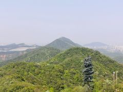 -杭州半山国家森林公园