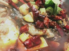 -辣尚瘾·烤鱼·新川菜(交大直营店)