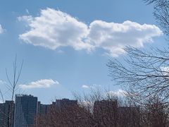 -长春公园(普阳街道)