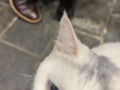 -张记牛肉面馆(天津路店)