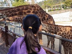 -泉州海丝野生动物世界