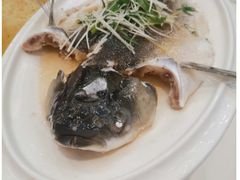 -顺德渔村·岭南一号