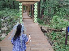 -大岭沟猕猴桃谷风景区
