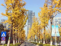 -东湖落雁景区