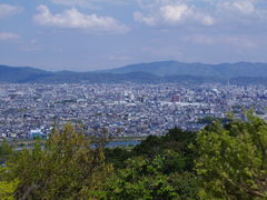 -岚山猴子公园