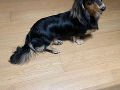 -comecome来吧宠物(奥克斯中心店)