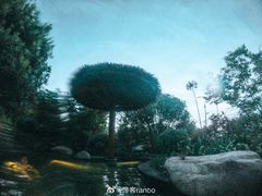 -七彩云南古滇温泉山庄