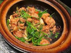 沙姜啫鸡-煲煲好(朝阳门店)
