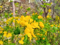 -崂山九水游览区