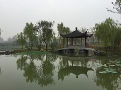 -武汉园博园(武汉自然博物馆)