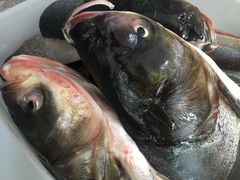 -黄牛肉馆·皖南土菜