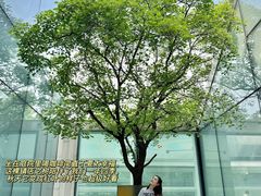 -WeWork中国(三里屯11号社区店)