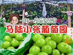 -马陆小张葡萄园农家乐