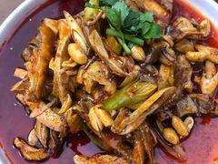 -青城甲(青城山店)