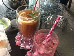 -柴犬高等学院·狗咖·柴犬售卖·宠物训练