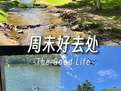 -东莞市大岭山森林公园