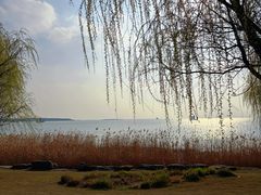-苏州湾体育公园