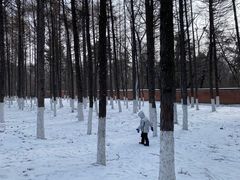 -长春市南湖公园