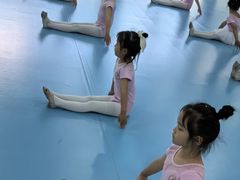 -西安小天鹅艺术团(曲江Alice店)