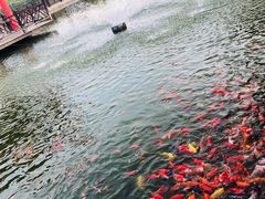 -河北村民俗体验园