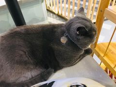 -小时光咖啡馆(开森度假森林店)
