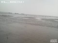 -上海棕榈滩海景酒店