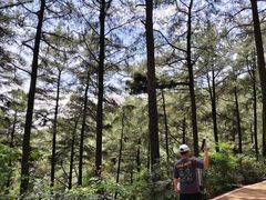 -綦江古剑山