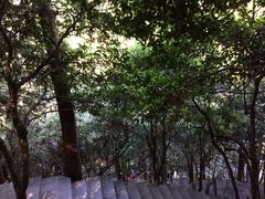 -井冈山革命烈士陵园