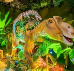 -恐龙探索乐园(磁器口店)