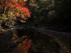 -关门山森林公园