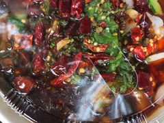 老火锅阿根廷大红虾-降龙爪爪(建设路1店)