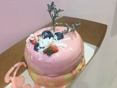 -狐狸和向日葵(北京路店)