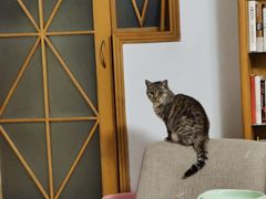 -北京恒爱动物医院(清景园分院)