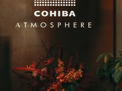 -Cohiba Atmosphere高希霸魅力俱乐部(国贸店)