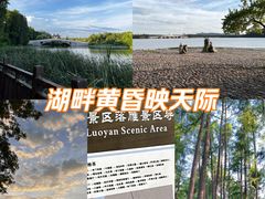 -东湖落雁景区