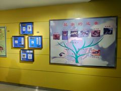 -上海昆虫博物馆