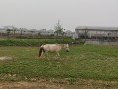 -米果果小镇