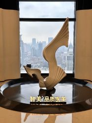 -智美品质医美