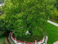 -东台西溪天仙缘景区