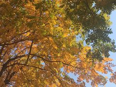 -中关村生命科学园