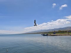 -青海湖国家重点风景名胜区