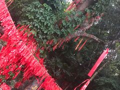 -海南槟榔谷黎苗文化旅游区