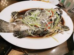 清蒸石斑鱼-竹林小屋(库塔店)