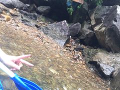 -安吉龙王山峡谷漂流